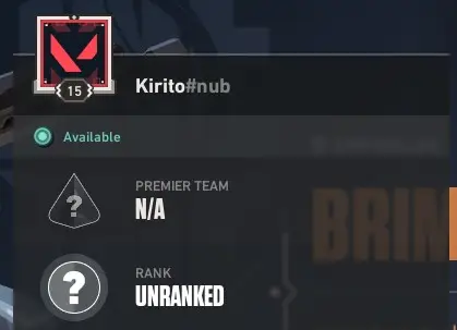 NOT RANKED READY - 19 LVL -FULL ACCESS