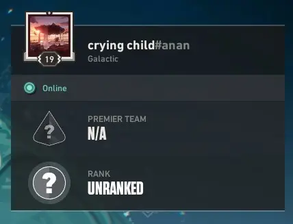 NOT RANKED READY - 19 LVL - FULL ACCESS