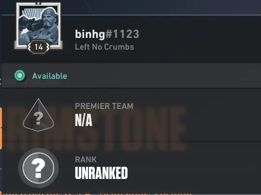 7 Agents - Not Ranked Ready - 14 LVL - Full Acces