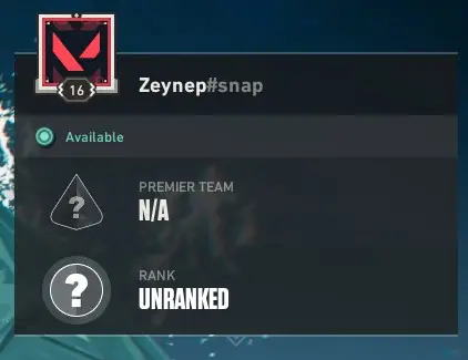 NOT RANKED READY - 16 LVL - FULL ACCESS