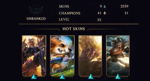 UNRANKED - 55 LVL - 9 SKIN