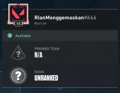 NOT RANKED READY - 15 LVL -FULL ACCESS