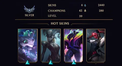 SILVER II - 39 LVL - 6 SKIN