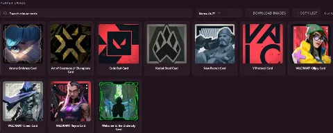 RANKED READY - 11 LVL -  0 SKIN - FULL ACCESS