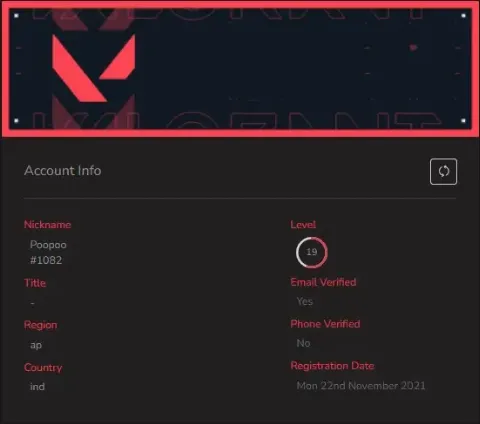 RANKED READY - 19 LVL - FULL ACCESS