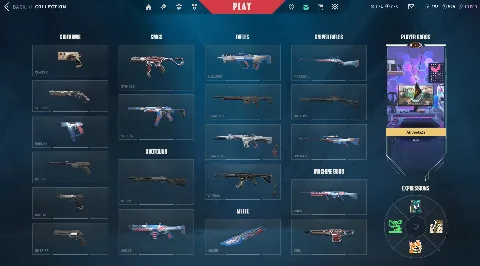 29 Agents - 23 Skins - Ranked Ready - 143 LVL - Full Acces