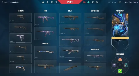 9 Agents - 11 Skins - Silver 3 - 26 LVL - Full Acces