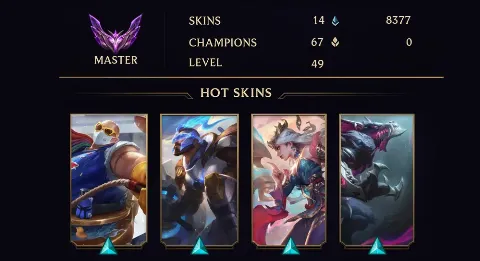 MASTER I - 49 LVL - 14 SKIN