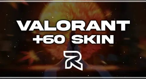 60-120 SKIN
