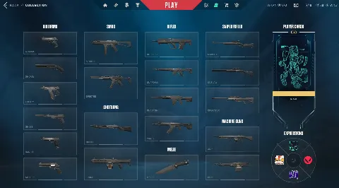 7 Agents - Not Ranked Ready - 15 LVL - Full Acces